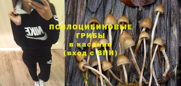 ПСИЛОЦИБИНОВЫЕ ГРИБЫ Абаза