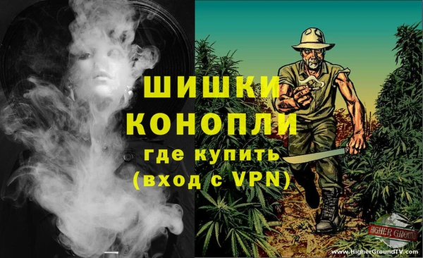 ПСИЛОЦИБИНОВЫЕ ГРИБЫ Абаза