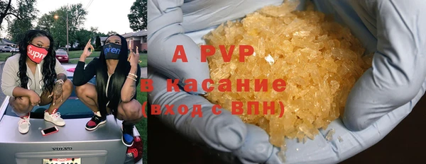 ПСИЛОЦИБИНОВЫЕ ГРИБЫ Абаза