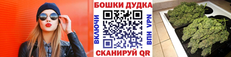 Бошки Шишки ГИДРОПОН  где найти наркотики  Белая Калитва 
